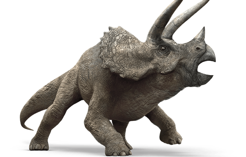 파일:Jurassic_world_triceratops_by_sideswipe217-d8qhmqa.png