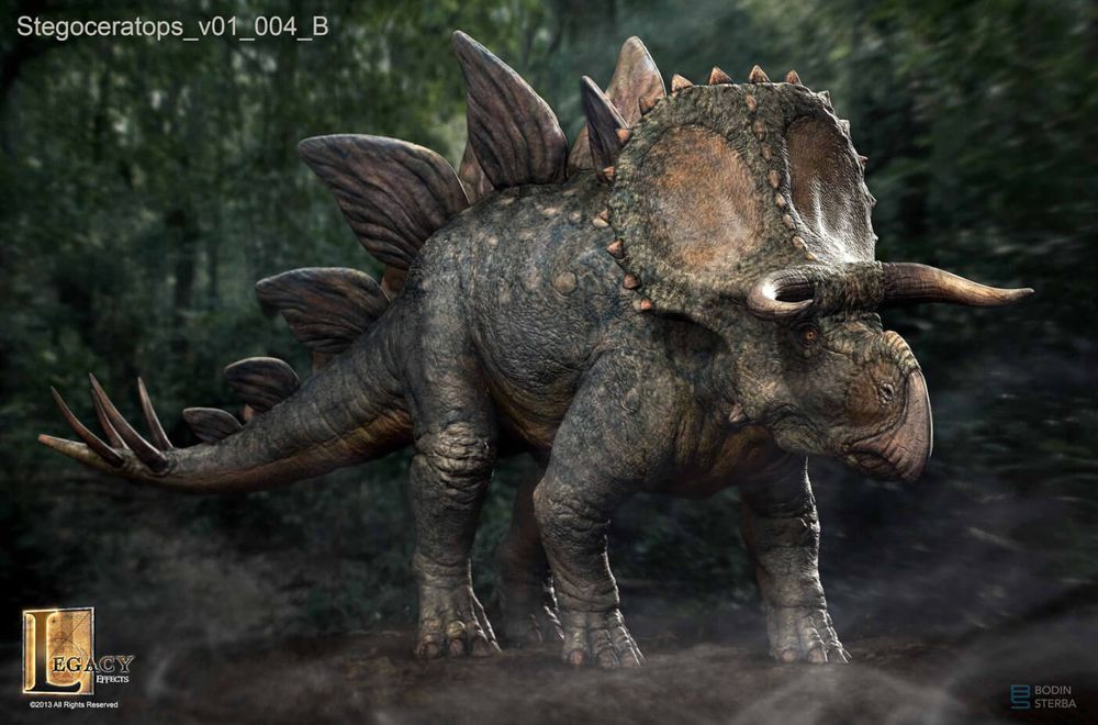 파일:stegoceratops_v01_004_B.jpg