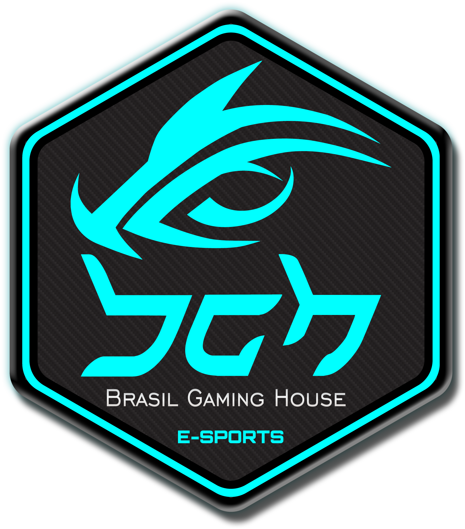 파일:external/wiki.teamliquid.net/Brasil_gaming_house_logo.png