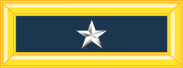 파일:external/upload.wikimedia.org/183px-Army-USA-OF-06.svg.png