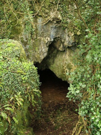 파일:Kilgreany Cave in Munster, Ireland.jpg