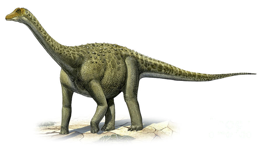 파일:external/images.fineartamerica.com/titanosaurus-indicus-a-prehistoric-era-sergey-krasovskiy.jpg