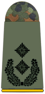 파일:external/upload.wikimedia.org/261-Oberstleutnant.png