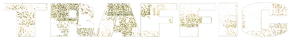 파일:Traffic Logo.png