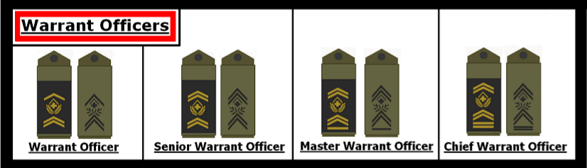 파일:스위스군 준사관(Swiss Military Warrant Officer.png