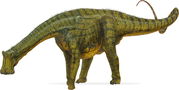 파일:Nigersaurus-taqueti.png