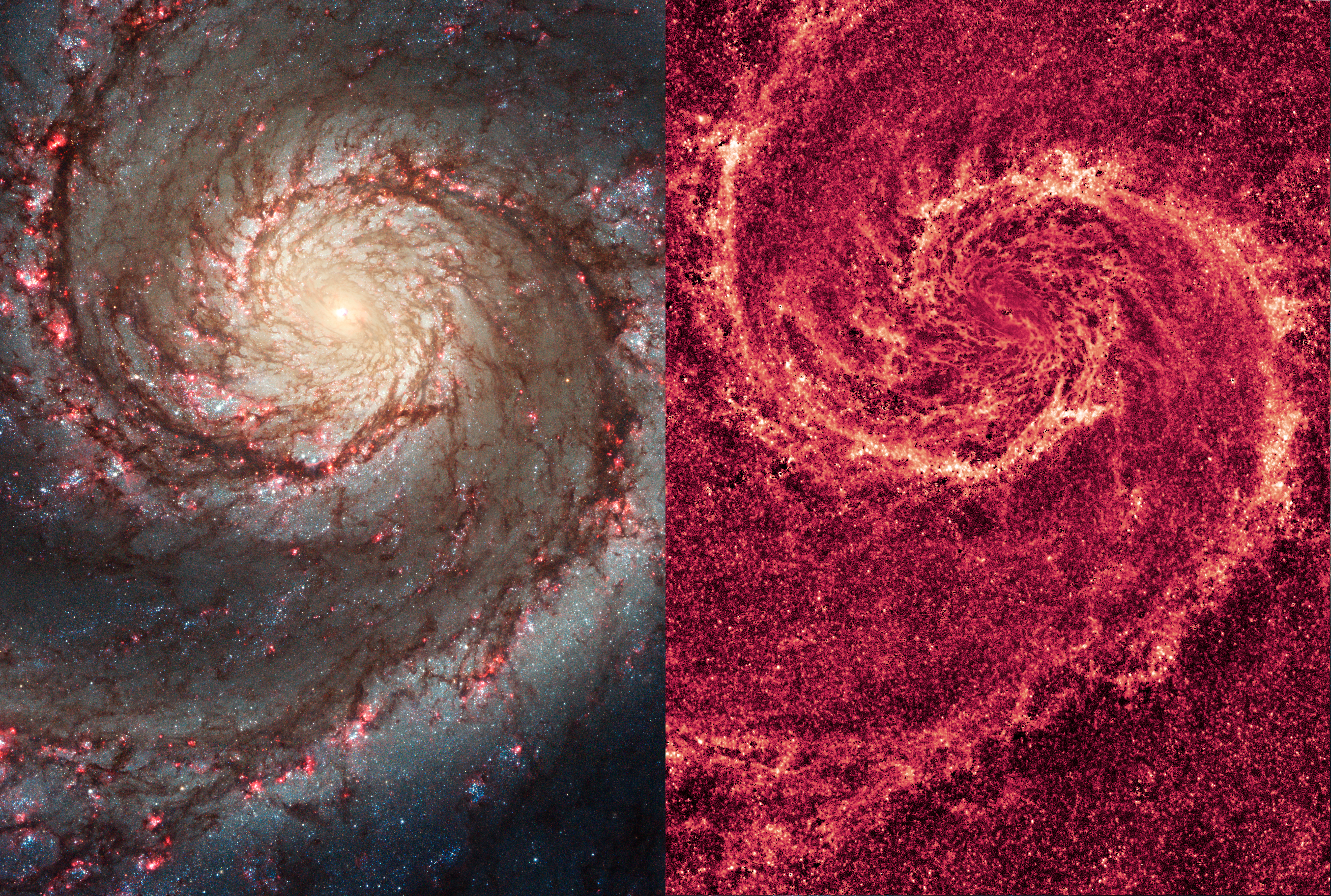 파일:external/upload.wikimedia.org/The_Two-faced_Whirlpool_Galaxy.jpg