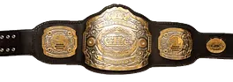 파일:GHC_Heavyweight_Championship.png