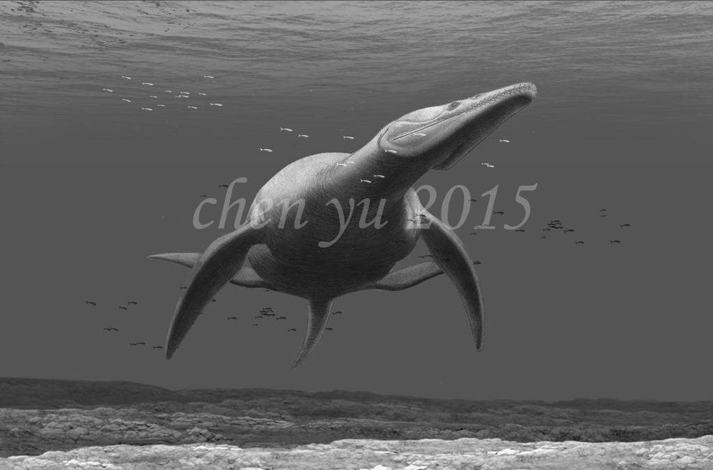파일:rhomaleosaurus_by_sinammonite_d984or5-fullview.jpg