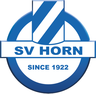 파일:SV Horn.png