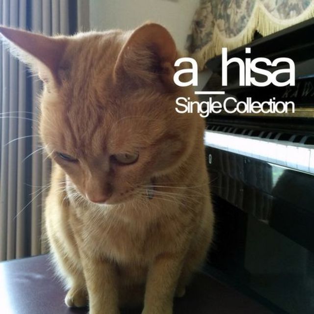 파일:a_hisa_cat.jpg