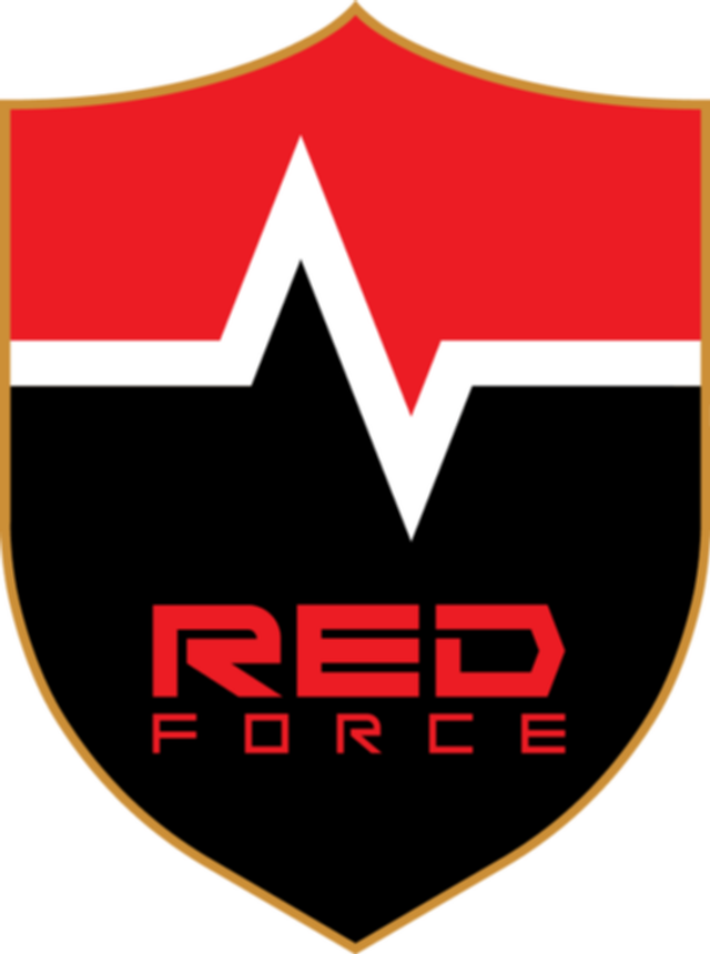 파일:NS_Redforce_Logo.png