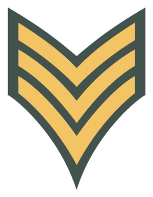 파일:VSP_Sergeant.jpg