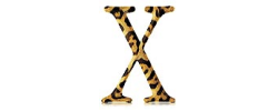 파일:external/upload.wikimedia.org/Jaguar-logo.png