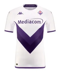 파일:Fiorentina 22-23 Away.jpg