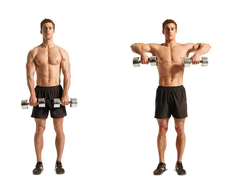 파일:external/bodybuilding-wizard.com/dumbbell-upright-row-1-8.jpg