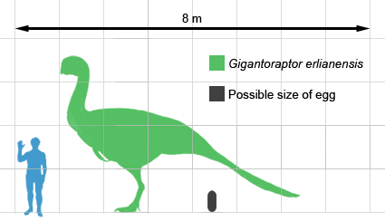 파일:external/upload.wikimedia.org/Gigantoraptor_size.png