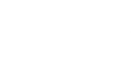 파일:ZHS_Logo_Normal.png