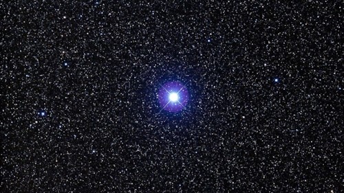 파일:external/astrologyking.com/altair-star-alpha-aquilae.jpg