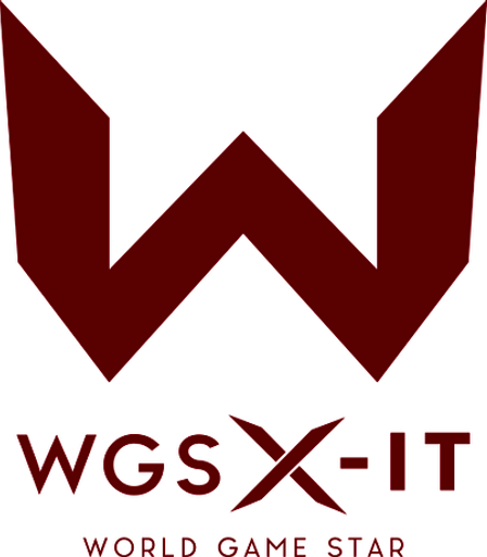 파일:WGS X-IT.png