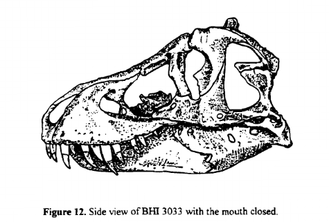 파일:BHI3033 with the mouth closed.png