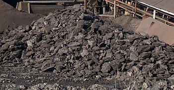 파일:350px-Lignite-coal.jpg