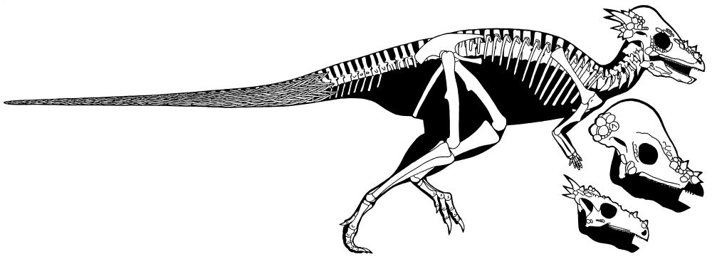 파일:external/blog.press.princeton.edu/pachycephalosaurus_wyomingensis.jpg
