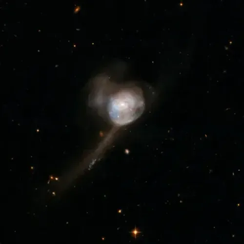 파일:Hubble_Interacting_Galaxy_NGC_17_(2008-04-24).jpg 