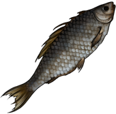 파일:DayR_Dried fish.png