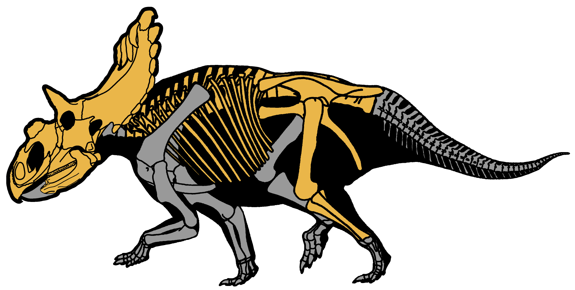 파일:external/upload.wikimedia.org/Kosmoceratops_richardsoni.png