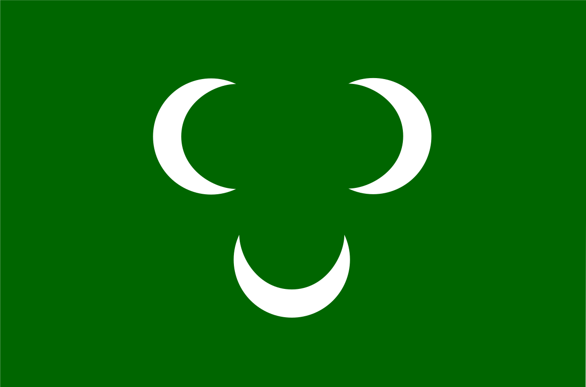 파일:트리폴리타니아 국기.png