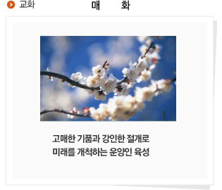 파일:external/www.unyang.hs.kr/school_03_3.jpg
