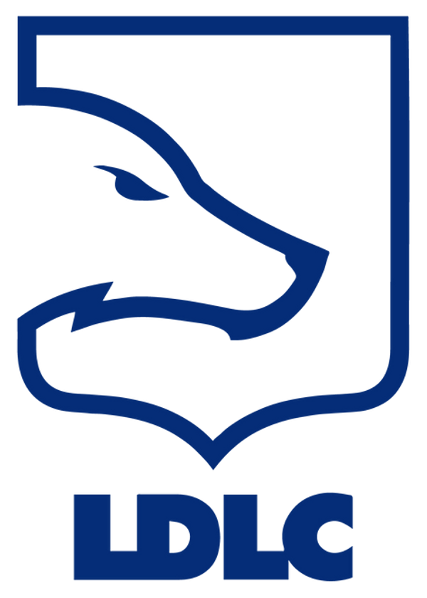 파일:LDLC_2020_Logo.png