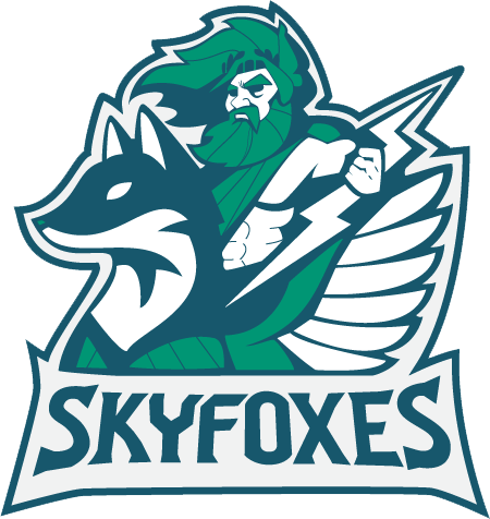파일:Meta_Skyfoxes_logo.png