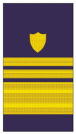 파일:external/uniforminsignia.org/usa-coatsguard-sleeve_25.gif