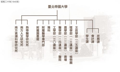 파일:臺北帝國大學組織.jpg