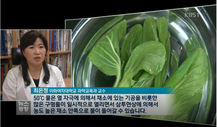 파일:KBS뉴스1.png