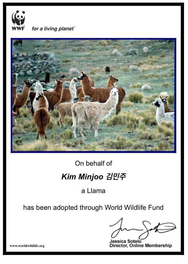 파일:김민주 WWF 라마.jpg