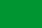 파일:external/upload.wikimedia.org/170px-Fatimid_flag.svg.png