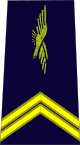파일:external/upload.wikimedia.org/80px-French_Air_Force-sergeant.svg.png