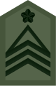 파일:external/upload.wikimedia.org/80px-JGSDF_Sergeant_Major_insignia_%28miniature%29.svg.png