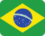 파일:WBSC 브라질 국기.png
