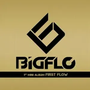 파일:빅플로_First Flow.jpg