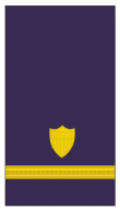 파일:external/uniforminsignia.org/usa-coatsguard-sleeve_17.gif