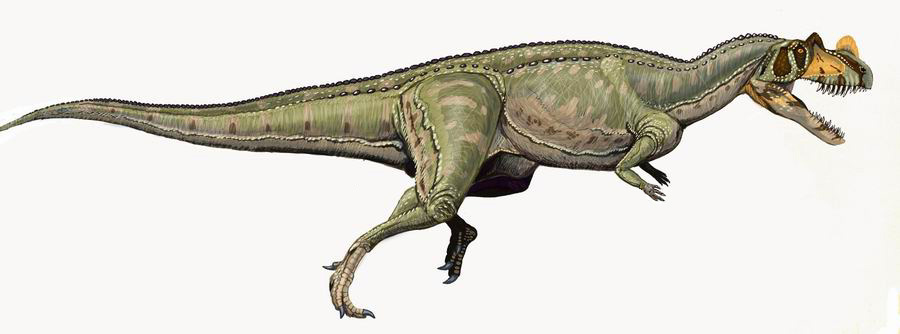 파일:external/upload.wikimedia.org/Ceratosaurus_nasicornis_DB.jpg