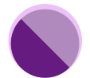 파일:icn_violet_1.png