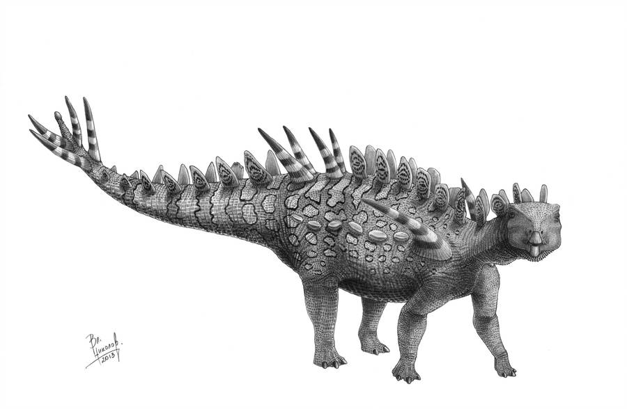 파일:huayangosaurus_taibaii_by_t_pekc_d5xzw0k-fullview.jpg