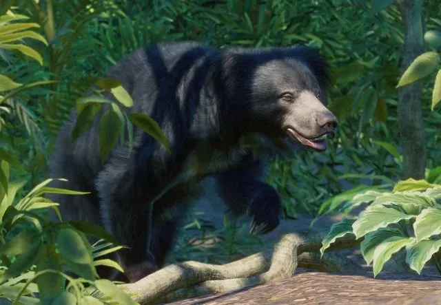 파일:PlanetZoo Zoopedia Sloth Bear.jpg
