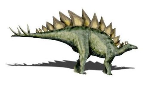파일:Stegosaurus_ungulatus NT.jpg