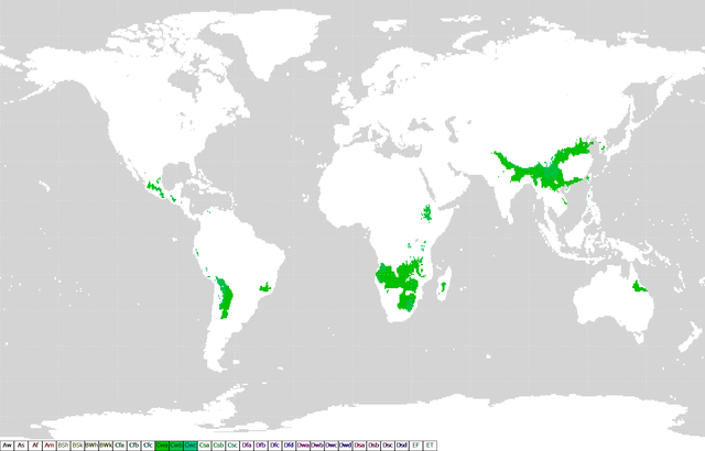 파일:external/upload.wikimedia.org/640px-Koppen_classification_worldmap_Cw.png